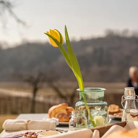 Foresteria Borgoluce Фермерский дом Susegana