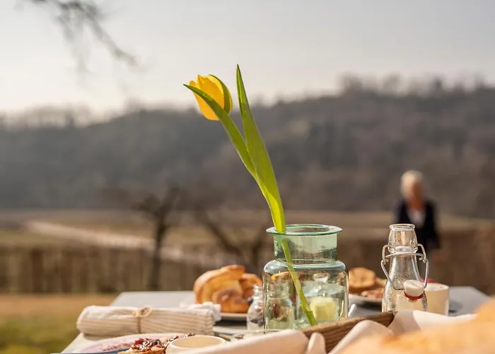 Foresteria Borgoluce בית חווה Susegana
