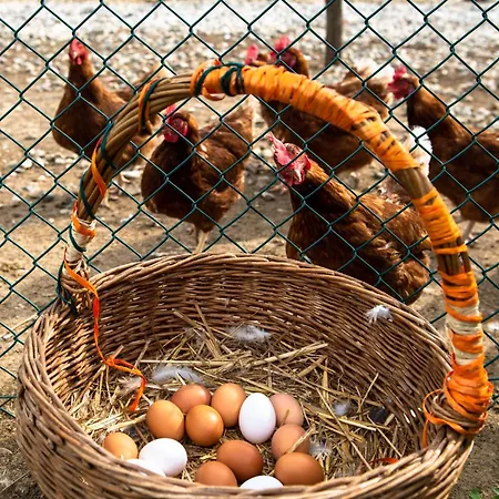 Foresteria San Rocco Borgoluce Farm stay *