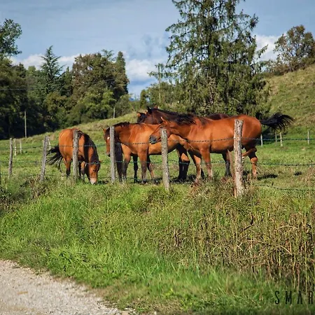 Foresteria Borgoluce * Susegana