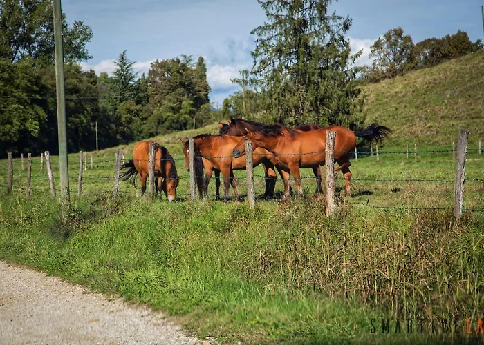 Foresteria Borgoluce * Susegana